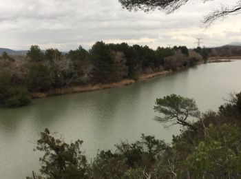 Excursión Senderismo La Roque-d'Anthéron - GB DURANCE+ CHÂTEAU DE JANSON  - Photo