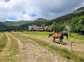 Tocht Stappen Laveissière - Lioran col de Cabre  par téton de Vénus  - Photo