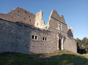 Tocht Stappen Montaud - Montaud château de Montlaur le 31 01 2023 - Photo