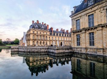 Randonnée Marche Fontainebleau - La rando des 3 chateaux - Parcours 42 km - Photo