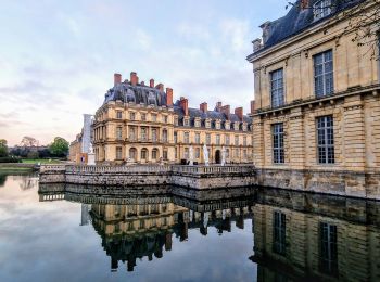 Tocht Stappen Fontainebleau - La rando des 3 chateaux - Parcours 42 km - Photo