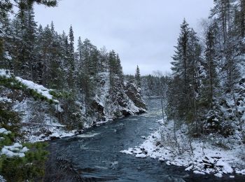 Tour Zu Fuß Kuusamo - Oulangan erämaareitti (Talvireitti) - Photo