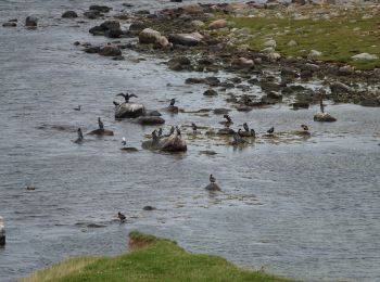 Tour Wandern  - Danemark: Tour de l'Ordrup Naes  - Photo