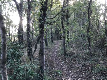 Tour Wandern Sion-les-Mines - 08.09.2019 - SION LES MINES - Photo