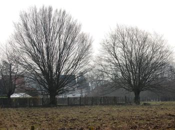 Tour Zu Fuß Lede - Honegem Natte Voetenpad - Photo