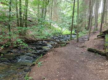 Excursión Senderismo Malmedy - Les crêtes de la Warche - MDY 22 - Photo