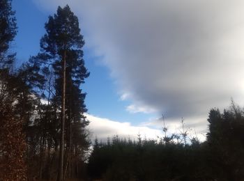 Percorso Marcia Seraing - descente dans le bois de la vecquée - Photo