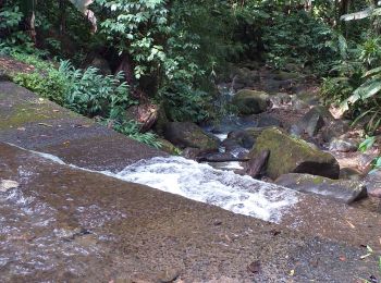 Trail Walking Fort-de-France - fond barron - Photo