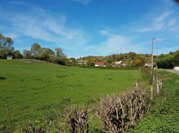 Tocht Stappen Arbent - Arbent Bois du Roy - Photo