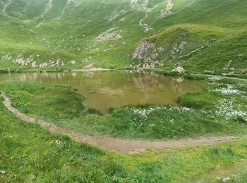 Percorso Marcia Le Reposoir - Lac de Peyre - Photo