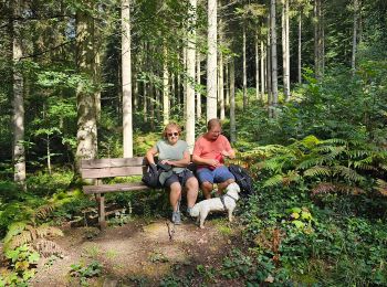 Randonnée Marche Beauraing - Balade dans la forêt de Felenne-Beauraing - Photo