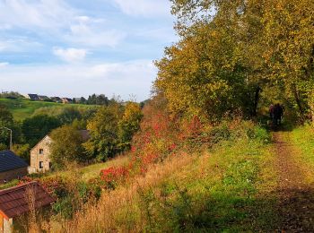 Randonnée Marche Mettet - Marche Adeps à Ermeton-sur-Biert - Photo