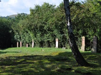 Percorso A piedi Usingen - Bonseweg - Photo