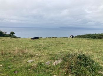 Trail Walking Beuzec-Cap-Sizun - Beuzec-Cap-Sizun  - Photo