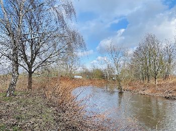 Randonnée Marche Ostheim - Le long de la rivière Fecht à Ostheim en France - Photo