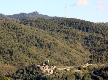 Tour Zu Fuß Gaiole in Chianti - IT-56 - Photo