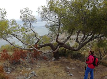 Tocht Stappen Almuñécar -  Cantarrijan     Cerro Caleta - Photo