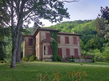 Randonnée Marche Ambialet - Au long du Tarn: de La Condomine à Marsal - Photo