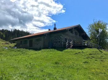 Percorso A piedi Samerberg - Wanderweg 41 - Samerberg - Photo