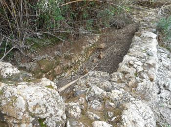 Trail On foot Paderne - Ribeira de Algibre - Photo