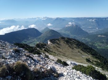 Excursión Senderismo Sarcenas - Col de Porte_Chamechaude - Photo