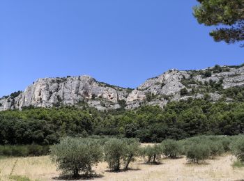 Trail Walking Mérindol - Les gorges de regallon à partir de Merinol - Photo