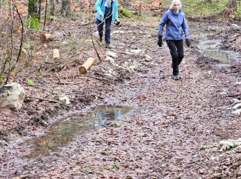 Trail Walking Chapelle-des-Bois - 25/01/24 Bellefontaine jura - Photo