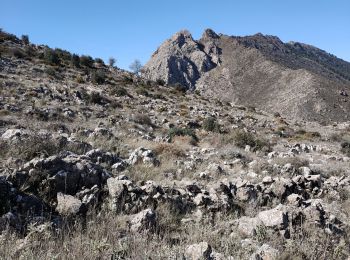 Tour Wandern Alhama de Granada - Ventas de Zafarraya  - Photo