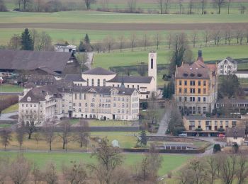 Trail On foot Hitzkirch - Gelfingen - Ballwil - Photo