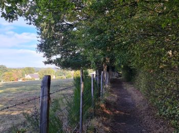 Tocht Stappen Isle - croix du thay  - Photo