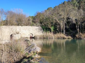 Tour Wandern Villesèque-des-Corbières - 5-02 - Photo