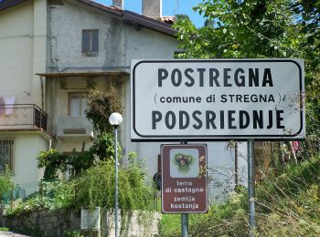 Percorso A piedi Stregna - I Prati di Tribil - Photo