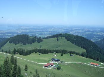 Trail On foot Bergen - Wanderweg 17 - Hochfelln - Photo