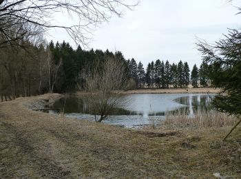 Excursión A pie Žďár nad Sázavou - Naučná stezka Babín - Photo