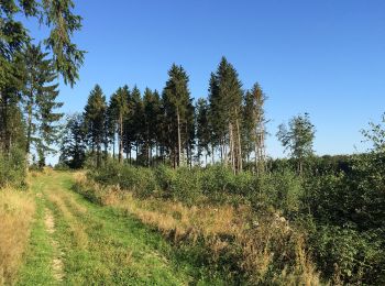 Excursión A pie Fuldabrück - Bergshausen - Stellbergsee - Photo