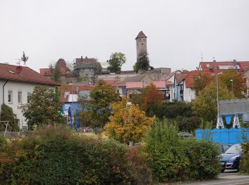 Tour Zu Fuß Neuhaus a.d.Pegnitz - Neuhaus-Rundwanderweg No.1 - Photo