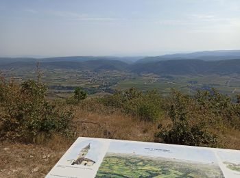 Excursión Bici de montaña Valvignères - Valvigniere Galére ! - Photo