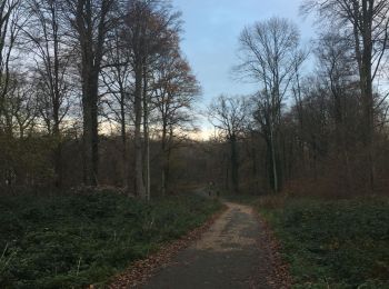 Percorso Marcia Saint-Nom-la-Bretèche - Un tour en Forêt de Marly - Photo