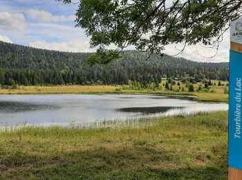 Tour Wandern Lac-des-Rouges-Truites - Mont Noir de Vent - Photo