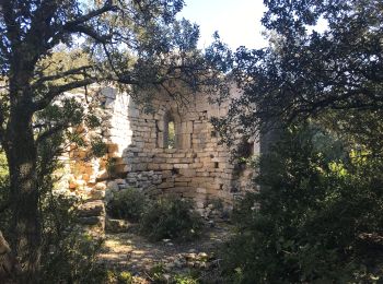 Excursión Senderismo Alleins - Les 3 chapelles et la Tour Vieille - Photo