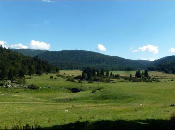 Trail Horseback riding Bouvante - Ferme de Lente vers col de la machine version courte - Photo