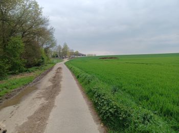 Excursión Senderismo Nivelles - Boucle champêtre Nivelles/Genappe  - Photo