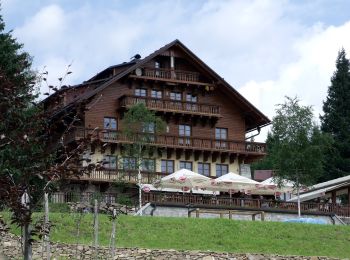 Randonnée A pied Spiegelau - Hauptwanderweg (Nationalpark Bayerischer Wald) - Photo