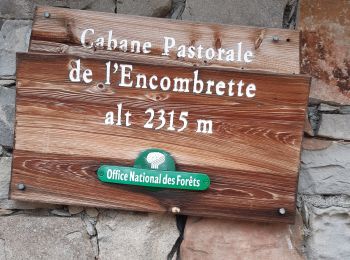 Tocht Stappen Colmars - col de l'encombrette pas de L'Echellette - Photo