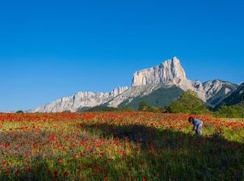 Percorso Bici da strada Lus-la-Croix-Haute - C21 - Le Trièves - Photo