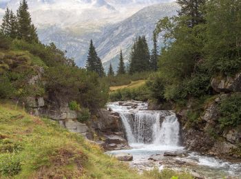 Percorso A piedi Valdaone - Sentiero del forcel rosso - Photo
