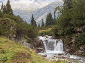 Tocht Te voet Valdaone - Sentiero del forcel rosso - Photo