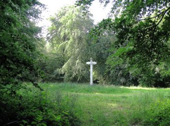 Tour Zu Fuß Tracy-le-Mont - le GR655 dans les Forêts de Laigue et de Compiègne - Photo