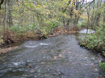 Trail On foot Erbach - Rundwanderweg Erbach 9 - Photo