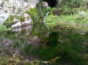 Excursión Senderismo Mauzac-et-Grand-Castang - Mauzac 17km - Photo